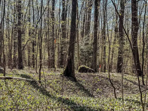 2494 Hadlington RD, Highlands East, ON K0L 3K0