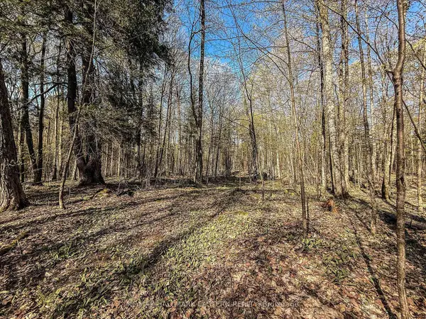 2494 Hadlington RD, Highlands East, ON K0L 3K0