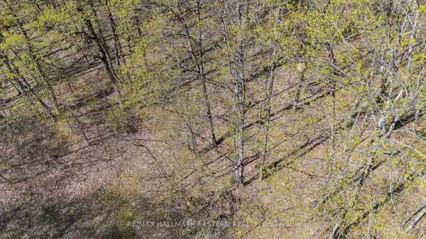 2494 Hadlington RD, Highlands East, ON K0L 3K0