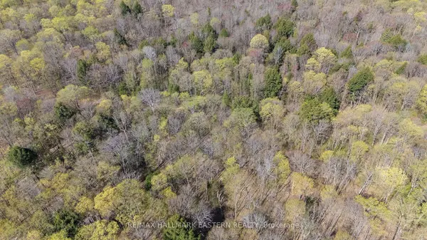 2494 Hadlington RD, Highlands East, ON K0L 3K0