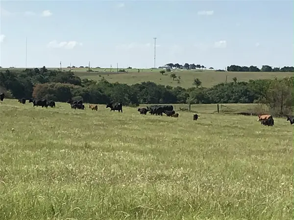 1332 County Road 423, Muenster, TX 76252