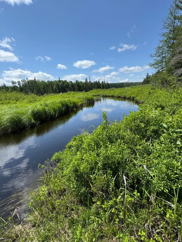 0 Williams Lake RD, Hastings Highlands, ON K0L 2S0