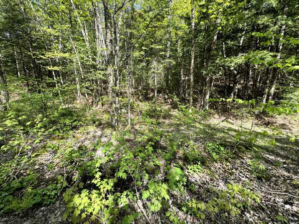 0 Salmon Trout Lake RD, Hastings Highlands, ON K0L 1C0