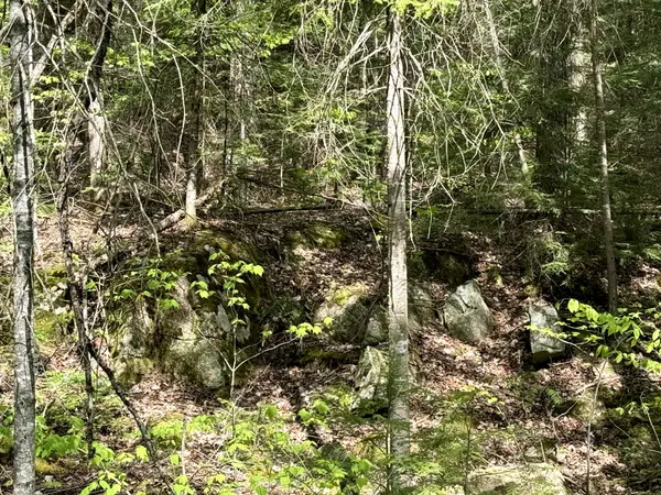 0 Salmon Trout Lake RD, Hastings Highlands, ON K0L 1C0