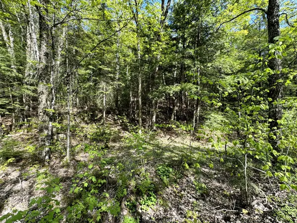 0 Salmon Trout Lake RD, Hastings Highlands, ON K0L 1C0