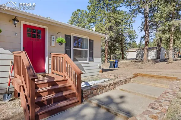 391 Kutsu Ridge RD, Florissant, CO 80816