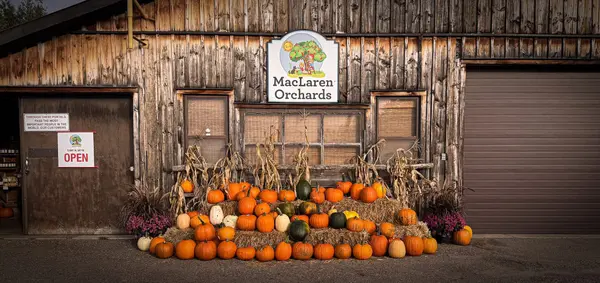 3376 Burnstown RD, Horton, ON K7V 3Z9