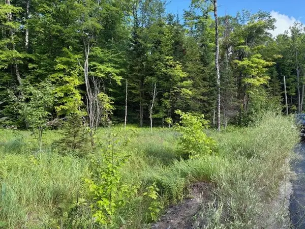 1788 Old Muskoka RD, Huntsville, ON P0B 1M0