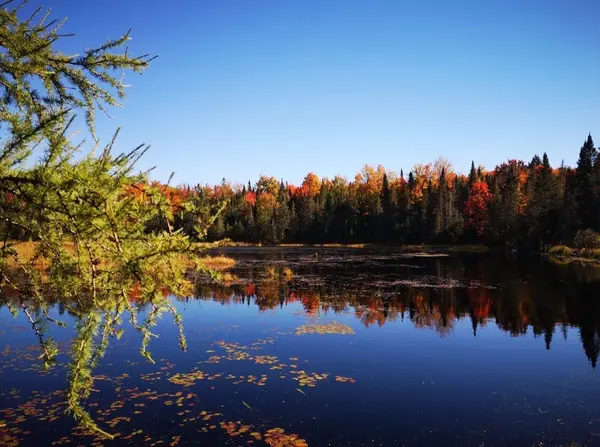 2087 Machar Strong Boundry RD, Strong, ON P0A 1Z0