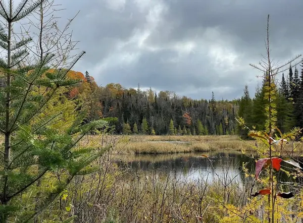 2087 Machar Strong Boundry RD, Strong, ON P0A 1Z0