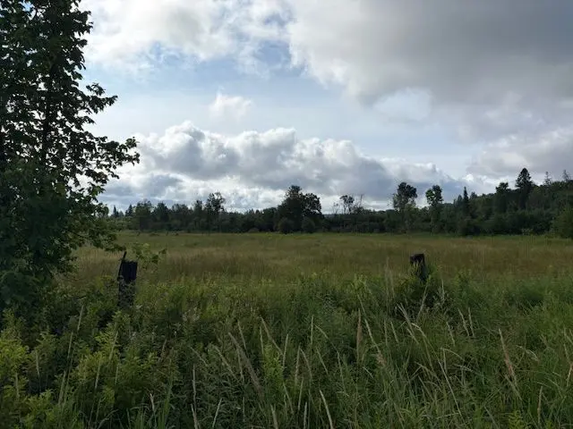 0 Old Muskoka to the West Side of #1105 RD, Huntsville, ON P0B 1M0