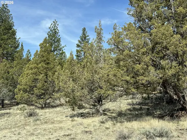 Off HWY 140 #900, Beatty, OR 97621