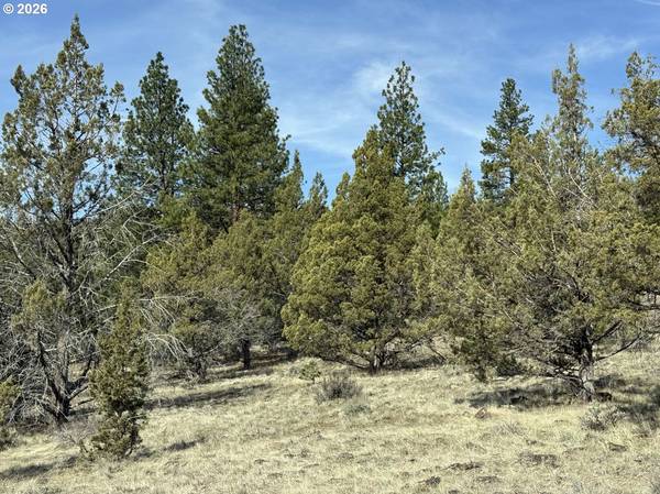 Off HWY 140 #900, Beatty, OR 97621