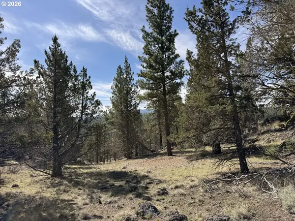 Off HWY 140 #900, Beatty, OR 97621