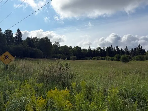 0 Old Muskoka to the East Side of #1105 RD, Huntsville, ON P0B 1M0