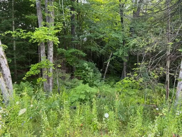 60 SUMMER LEIGH TRL, Huntsville, ON P0B 1M0