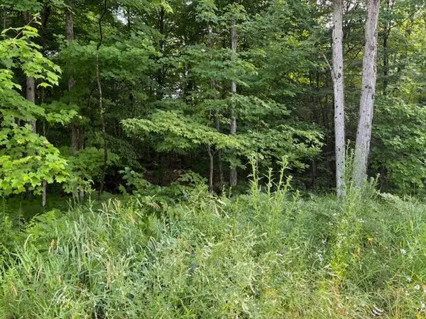 47 Summer Leigh TRL, Huntsville, ON P0B 1M0