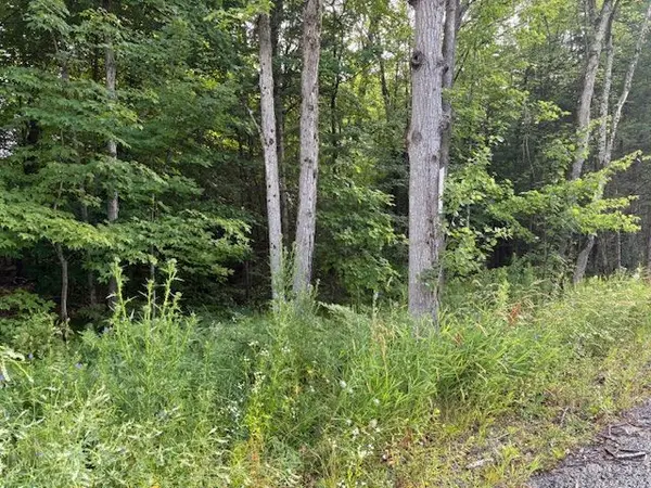 47 Summer Leigh TRL, Huntsville, ON P0B 1M0