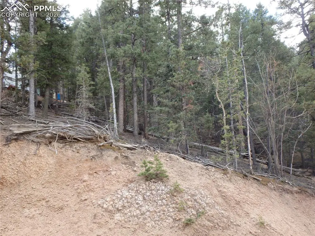 620 Wakanda TRL, Woodland Park, CO 80863