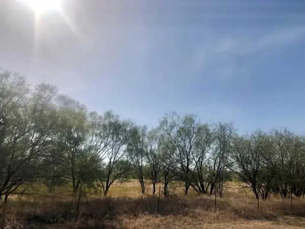 TBD FM 266, Gustine, TX 76455