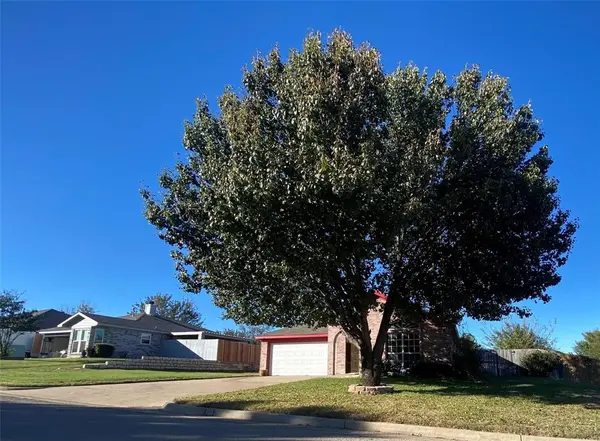 318 Alpine Drive, Weatherford, TX 76086