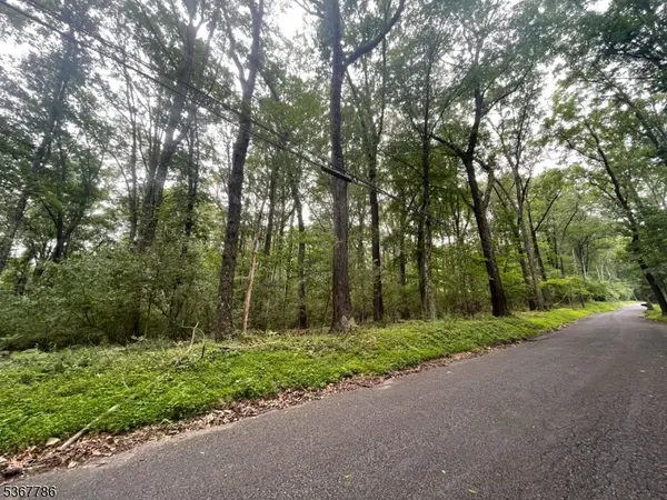 19 Polktown Rd, Union Twp., NJ 08827