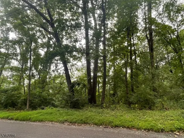 19 Polktown Rd, Union Twp., NJ 08827