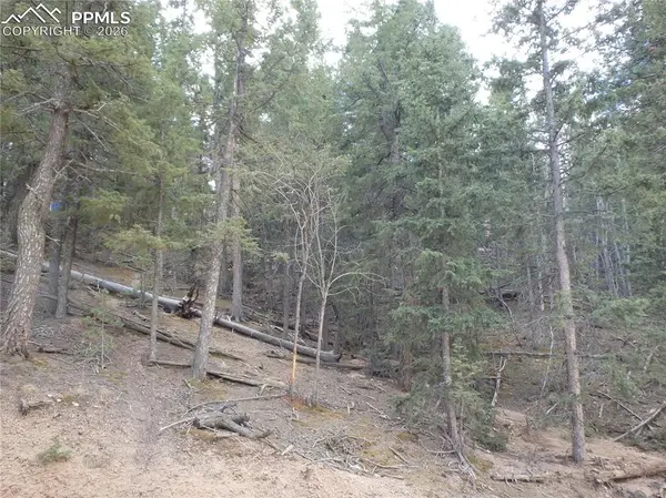 620 Wakanda TRL, Woodland Park, CO 80863