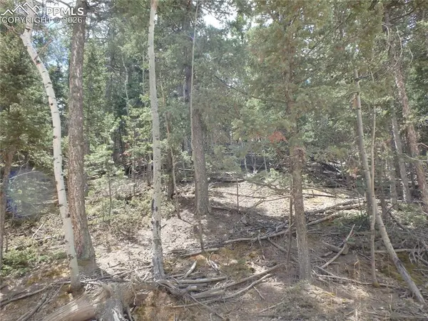 620 Wakanda TRL, Woodland Park, CO 80863