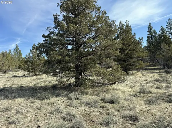 Yellow Jacket Spring RD #1100, Beatty, OR 97621