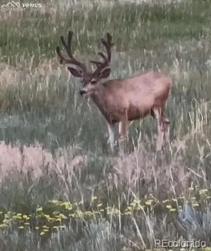 S Highway 83, Franktown, CO 80116