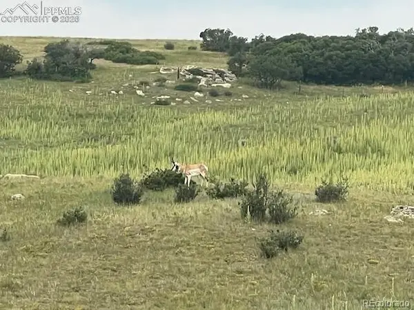 S Highway 83, Franktown, CO 80116