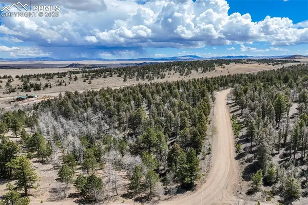 1430 Singletree RD, Hartsel, CO 80449