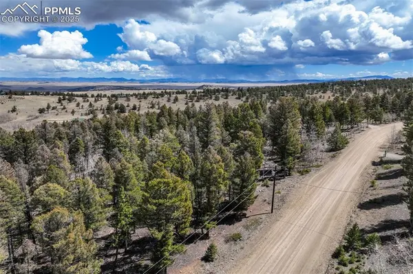 1430 Singletree RD, Hartsel, CO 80449