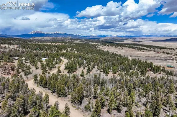 1430 Singletree RD, Hartsel, CO 80449