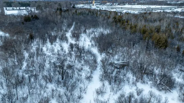 401 Raglan ST, Collingwood, ON L9Y 5P9