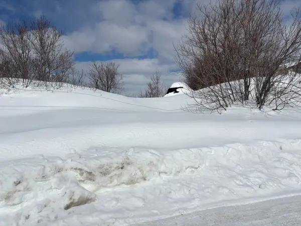 28 Laird CRES, Cobalt, ON P0J 1C0