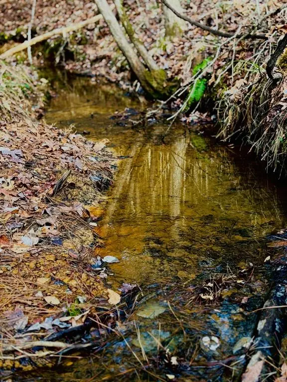 TBD (Lot 59) County Road 1060, Center, TX 75935