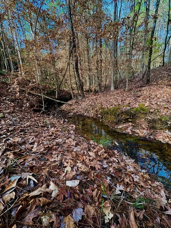 TBD (Lot 59) County Road 1060, Center, TX 75935