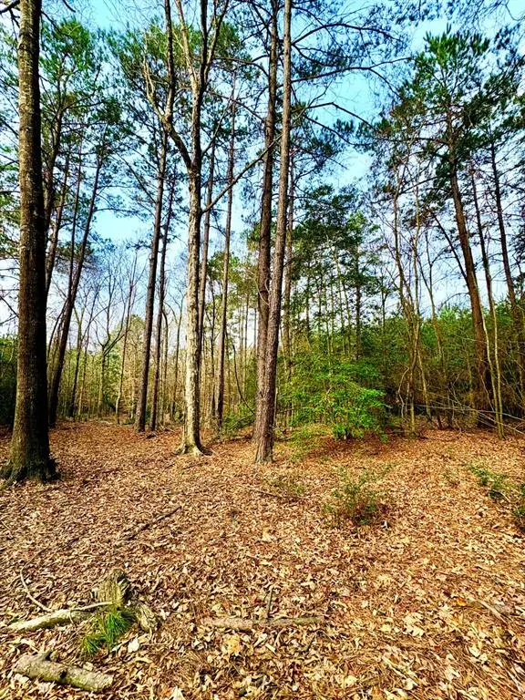 TBD (Lot 59) County Road 1060, Center, TX 75935