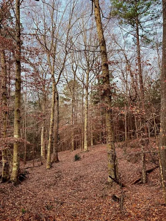 TBD (Lot 59) County Road 1060, Center, TX 75935