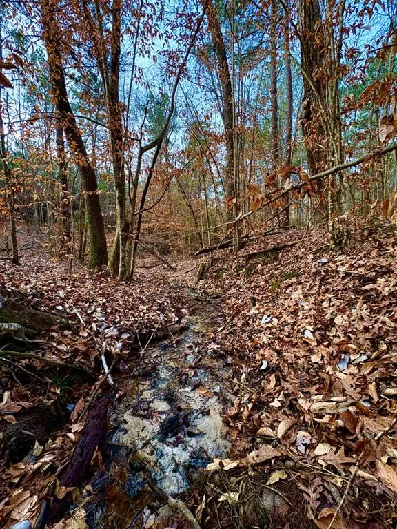 TBD (Lot 59) County Road 1060, Center, TX 75935