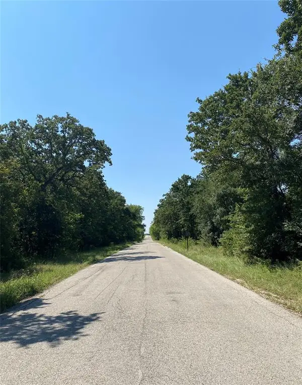 101 Heritage Springs Drive, Brock, TX 76087