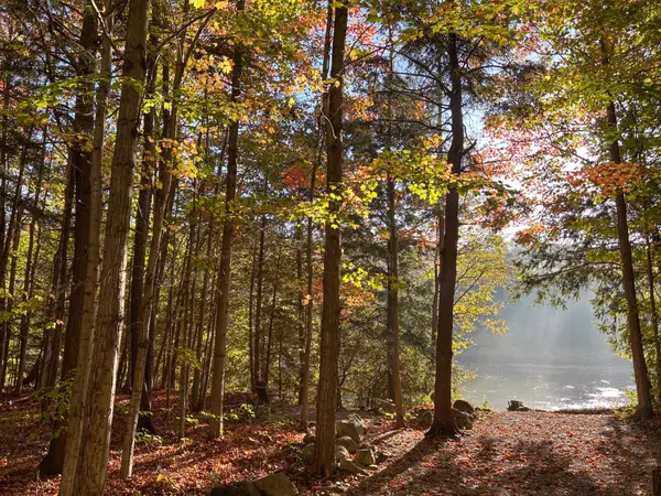 80602 Benmiller Line, Central Huron, ON N0M 1L0