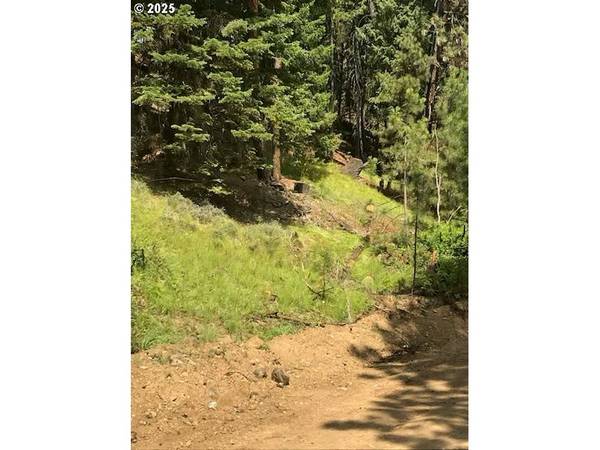 605 SUMPTER VALLEY HWY, Sumpter, OR 97877