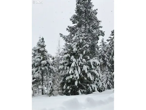 605 SUMPTER VALLEY HWY, Sumpter, OR 97877