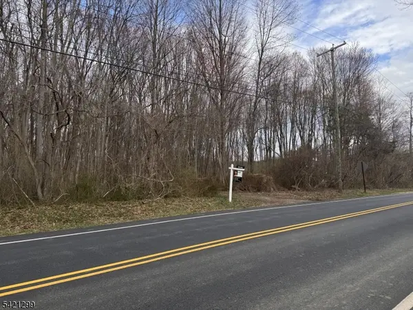 000 S 4Bridges Rd, Washington Twp., NJ 07930