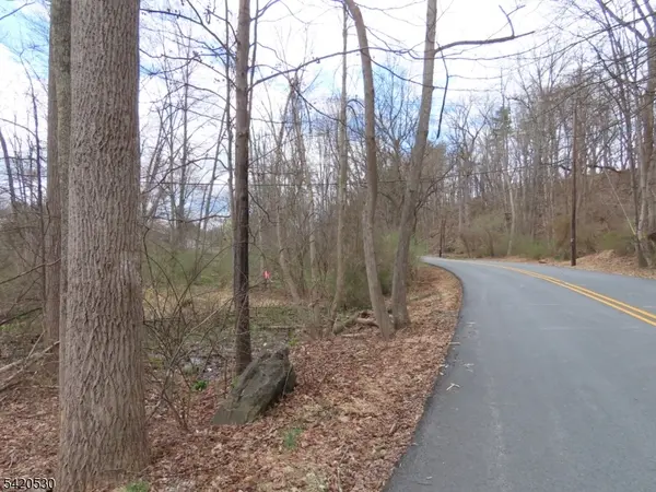 173 Hope Rd, Blairstown Twp., NJ 07825