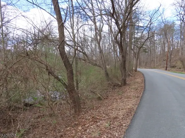 173 Hope Rd, Blairstown Twp., NJ 07825