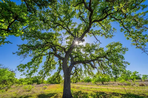 5230 County Road 409, Valley Spring, TX 76885